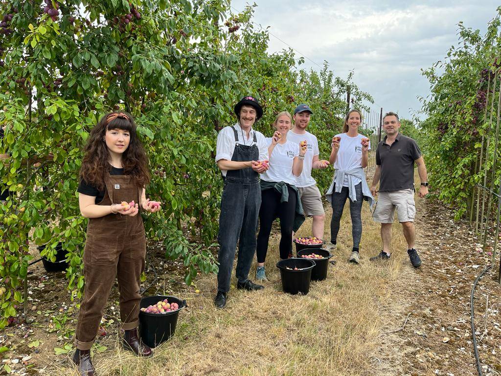 Group of people picking apples